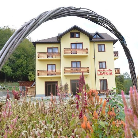 Pensiunea Lavinia Calvini Esterno foto
